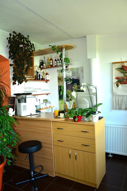 Pensiunea Anita Haţeg Extérieur photo